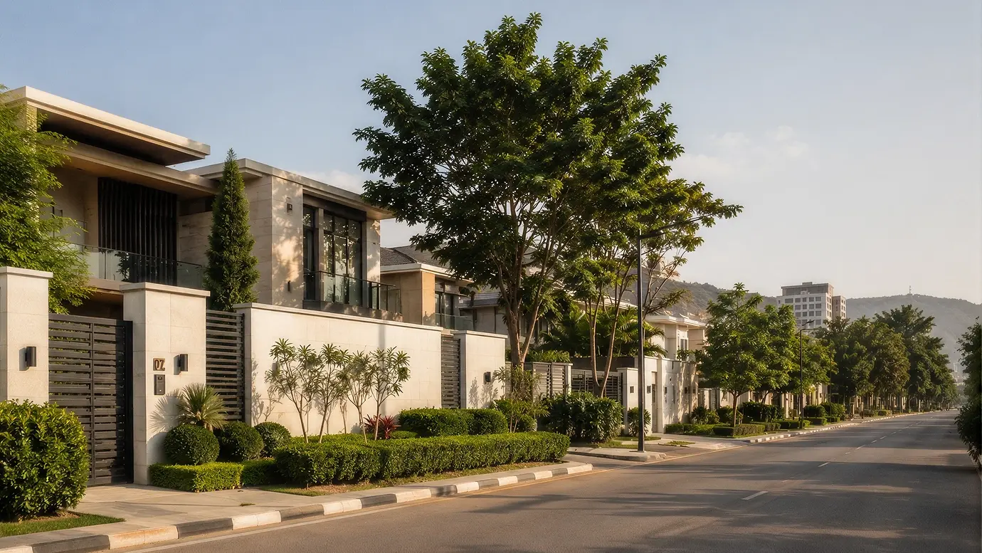 A prestigious tree-lined residential street in Abuja