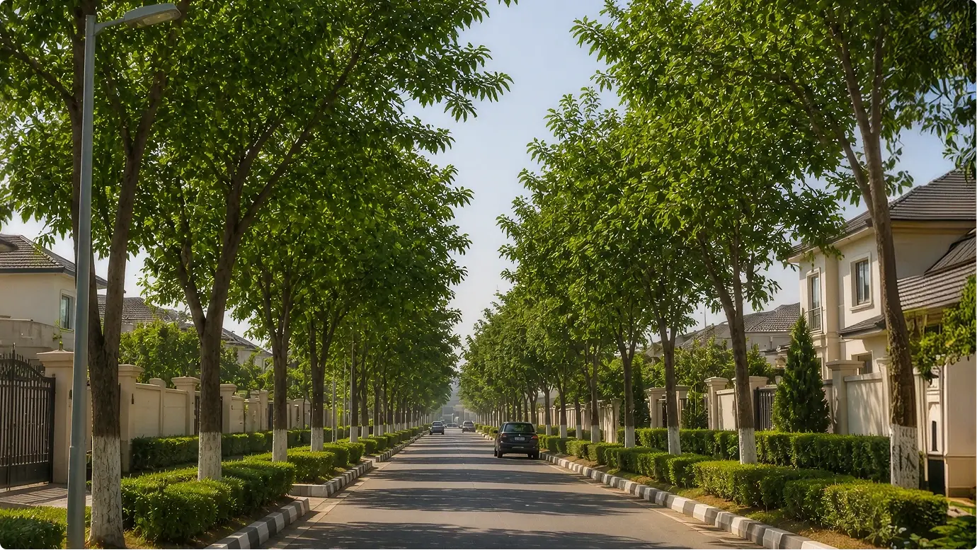 Tree-lined boulevard in Gwarinpa